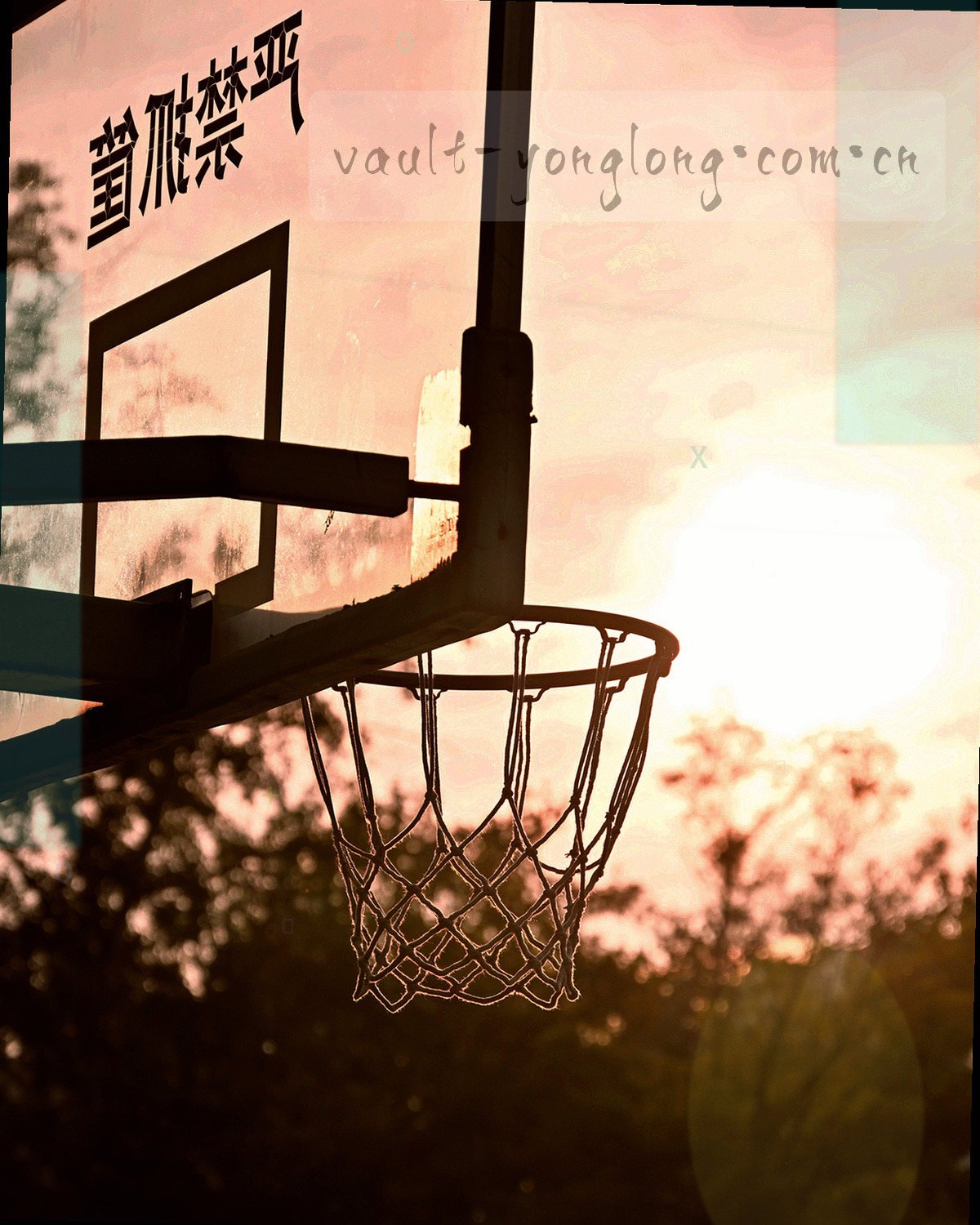 档案架向纵深延伸的透视画面，标签牌整齐排列，牌面文字不可辨读